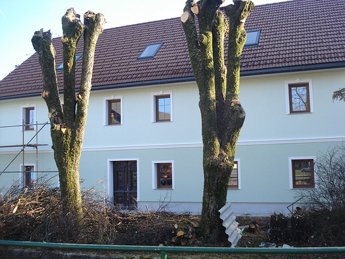Projekt 10